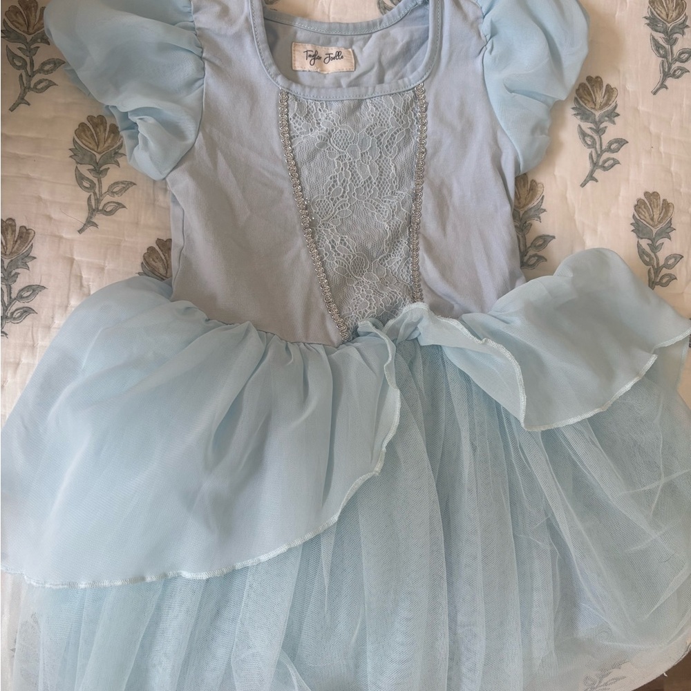 Cinderella Costume